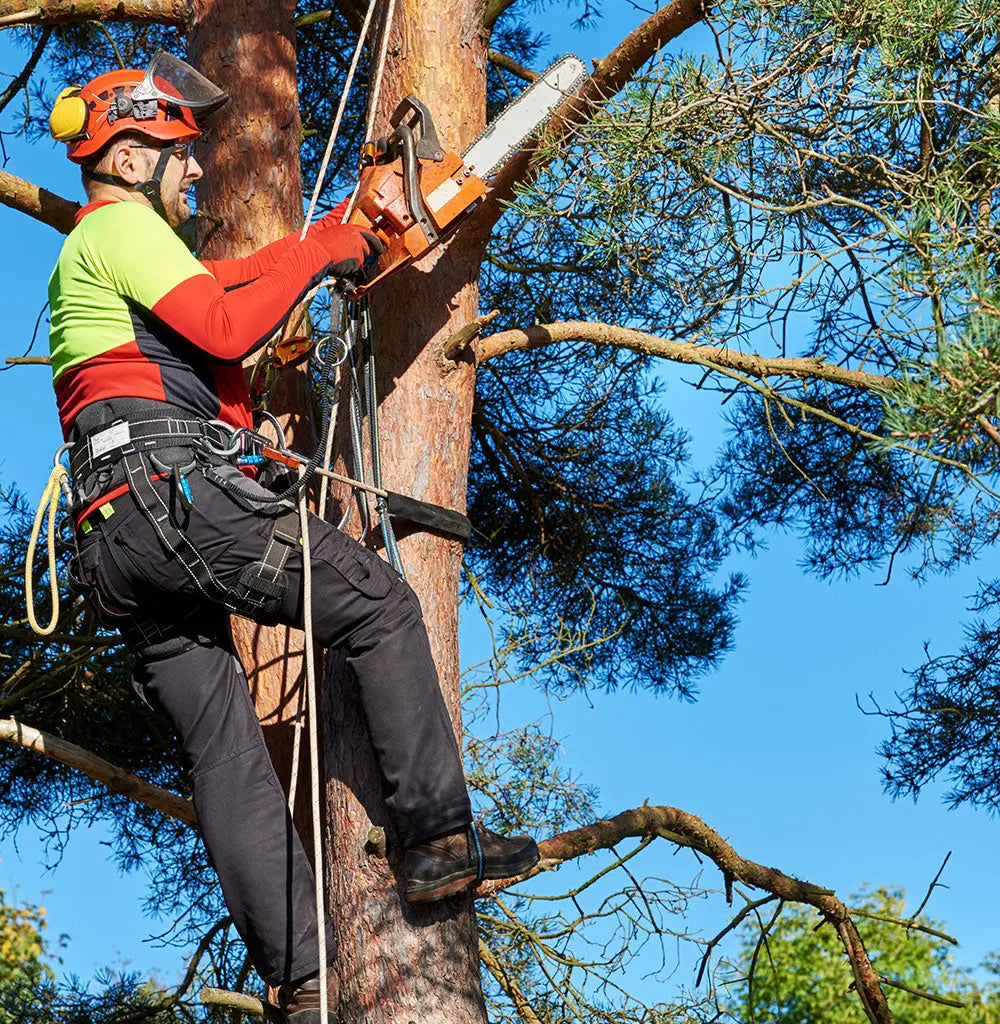 Arborist Equipment